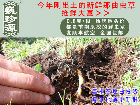 rx(chng)rx(chng)Ĳrx(chng)^ΡԴ0.8/rx(chng)^ڳҰrx(chng)