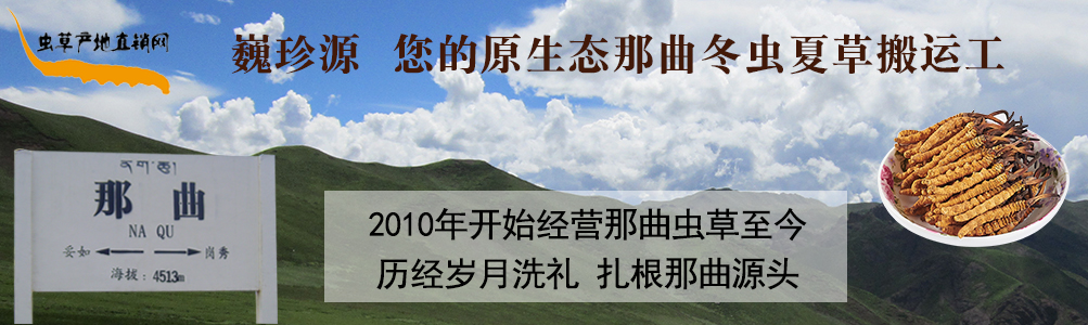 x(chng)Ĳ,Bx(chng)rx(chng)ݺrx(chng)Ĳ,l(f)x(chng)Ĳ݃r(ji)