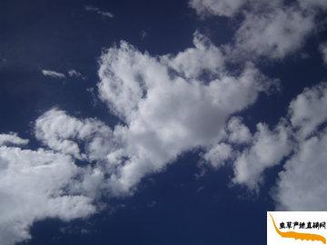 xĲݵĮa(chn)-՚ܝ,Ȼh(hun)o(w)Ⱦ,(yu)|(zh)xݮa(chn)